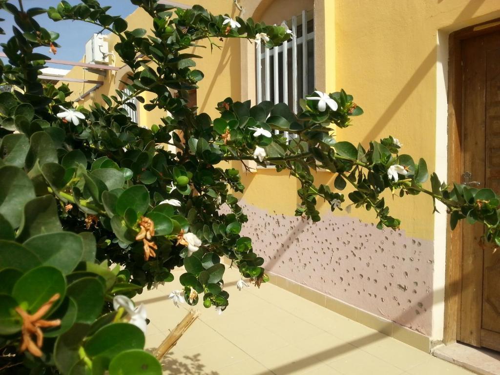 Darna Village Beach Hostel Al Burj Екстериор снимка