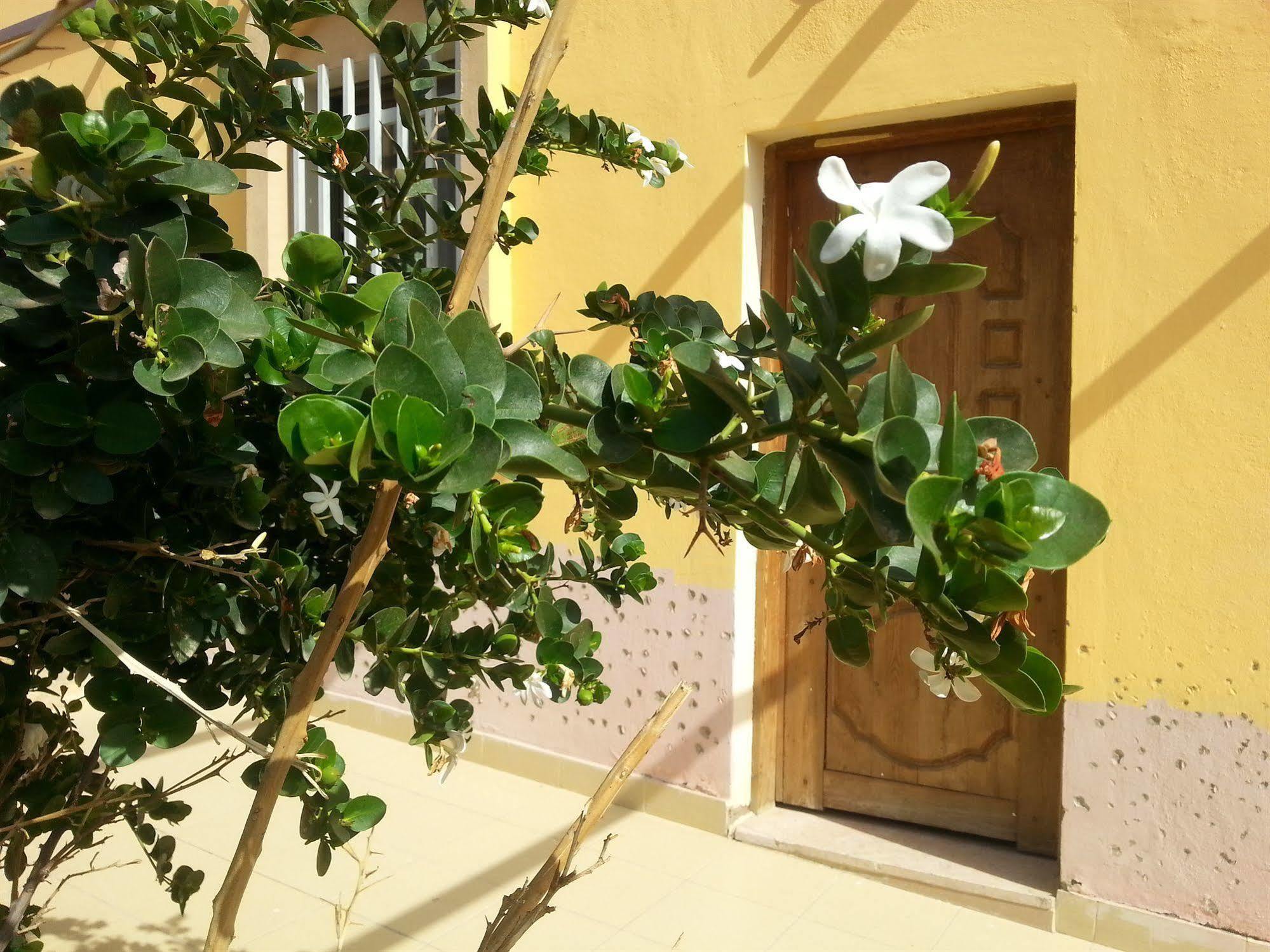 Darna Village Beach Hostel Al Burj Екстериор снимка