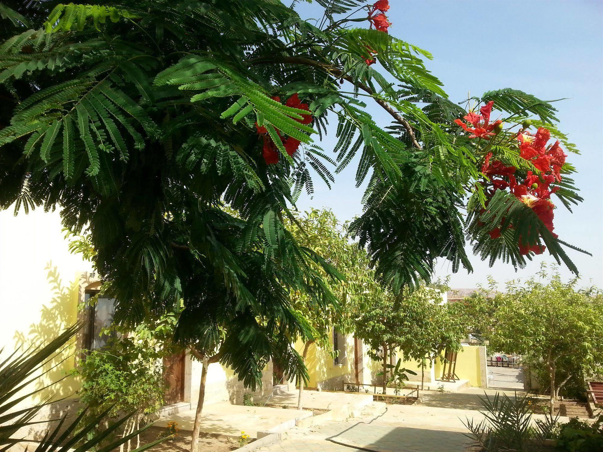 Darna Village Beach Hostel Al Burj Екстериор снимка
